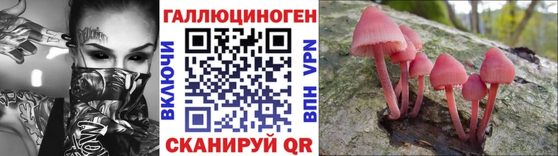 сколько стоит  Канаш  Псилоцибиновые грибы прущие грибы 