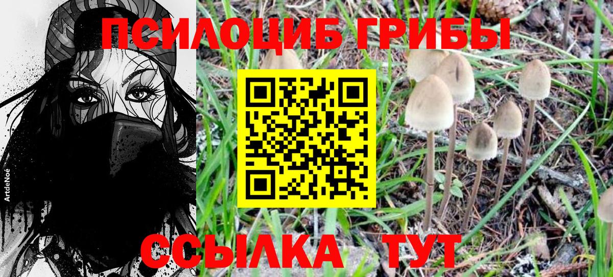 Псилоцибиновые грибы MAGIC MUSHROOMS  Вход с VPN  закладки  Канаш 